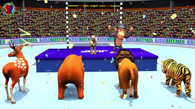 Animals high jump Competition for kids ll Animals playing indoor game for toddlers || lion tiger cheetah bear