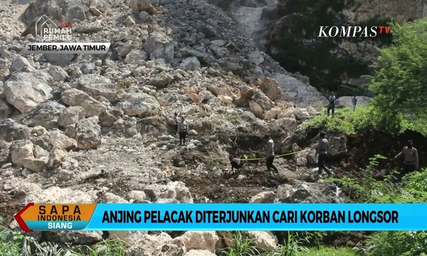 Anjing Pelacak Diterjunkan Cari Korban Longsor Gunung Kapur di Jember