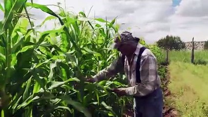 아시안바카라▷▷STK424。COM◁◁퍼스트바카라싸이트