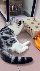 She play this on 2A.M.   OMG. I can't be asleep!