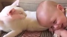 Baby zieht an Beinen der Katze, was dann passiert hätte niemand erwartet