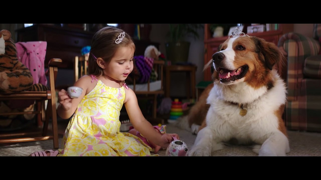 BAILEY Ein Hund kehrt zurück Film