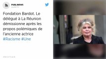 Fondation Bardot. Le délégué à La Réunion démissionne après les propos polémiques de l’ancienne actrice