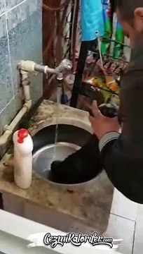 Rize’de Yemek Yediği Sırada Fenalaşan Yavru Köpeğe Kalp Masajı ve Suni Teneffüs Yapıp Onu Hayata Bağlayan Güzel İnsan