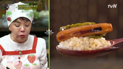 꼬~들한 식감에 반건조 오징어 장조림! Ft.묵은지 꿀조함