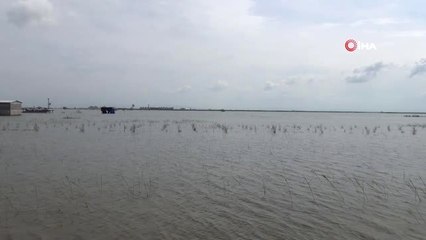 Amik Ovası'nda Sular Çekilmiyor