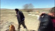 Dedektör köpek 'Kama' toprak altında uyuşturucu buldu - KAYSERİ