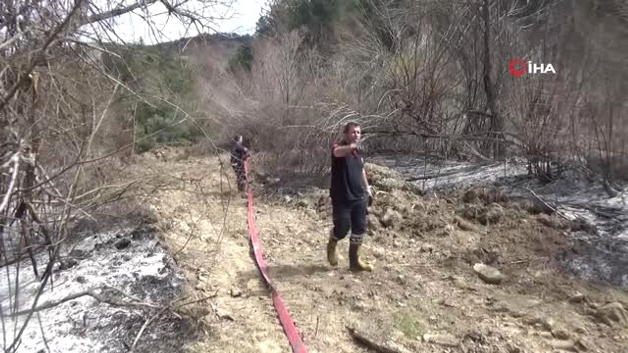 Çıkan Yangın Ormana Sıçramadan Söndürüldü