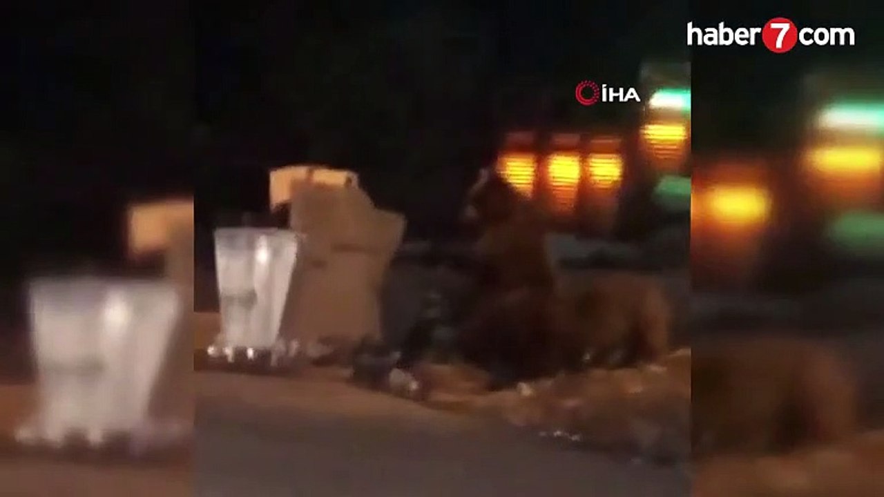 Ayıların vatandaşlarla imtihanı - Video 7