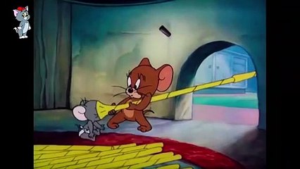 Tom and Jerry 2018 | Baby Mouse | Cartoon For Kids