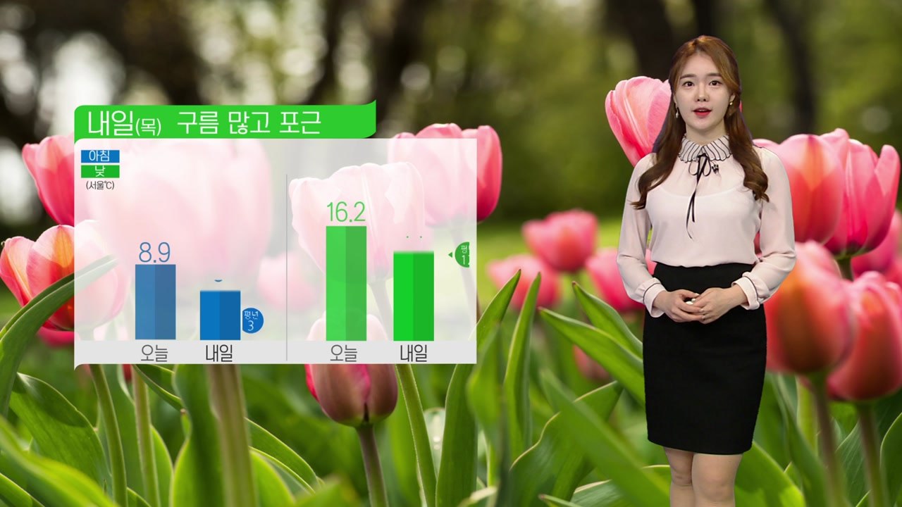 [날씨] 구름 많고 포근한 하루...미세먼지 농도 짙어요 / YTN