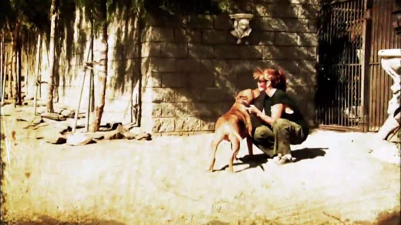 Pit Bulls And Parolees S03E03