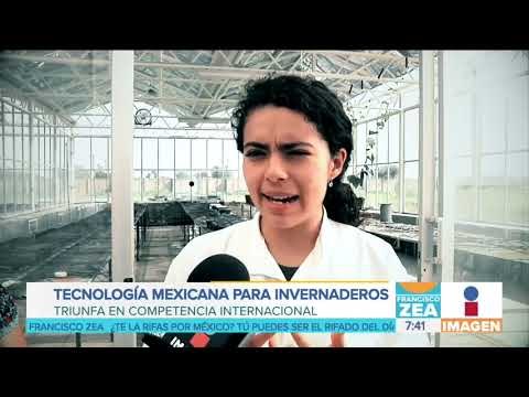 Inventan tecnología mexicana con inteligencia artificial para sembrar alimentos | Noticias con Zea