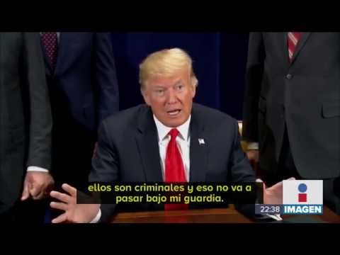 Donald Trump felicita a México por cómo trató y detuvo a migrantes hondureños | Noticias Ciro