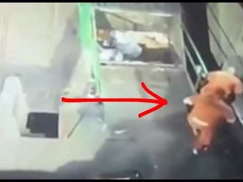 Reos se esconden en basureros para tratar de escapar de cárcel | Noticias con Francisco Zea