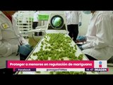 Para legalizar la mariguana, hay que proteger a niños y adolescentes | Noticias con Yuriria
