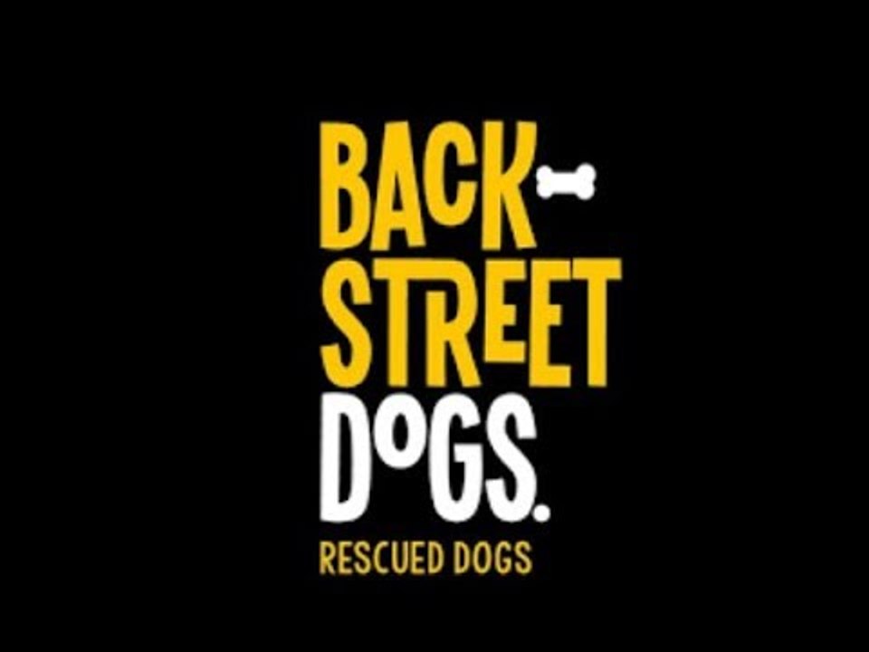 BackStreet Dogs, fundación para salvar perros d...