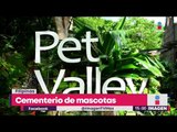Cementerio de mascotas de verdad | Noticias con Yuriria