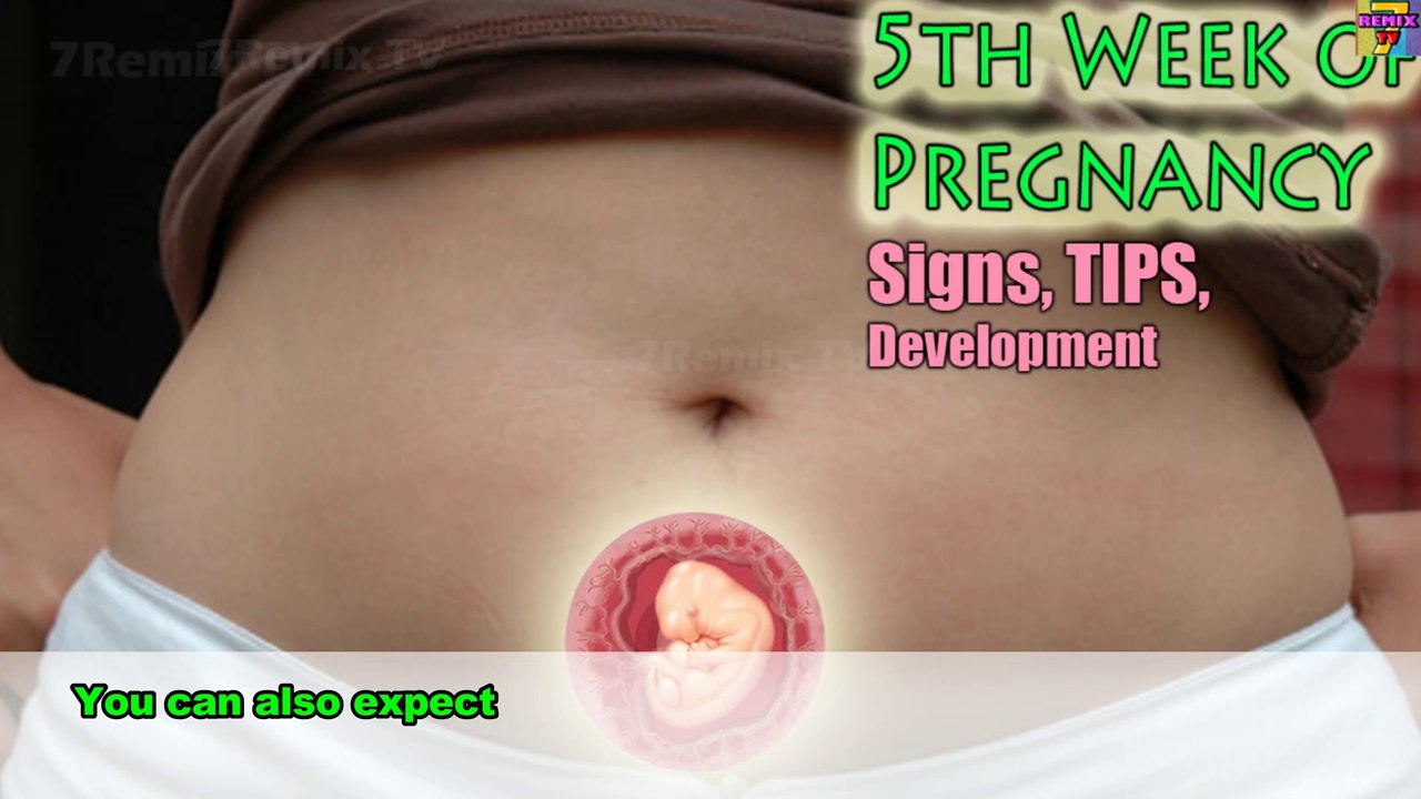 5th Weeks Of Pregnant Symptoms to Expect, Fetus Growth, and A Healthy Pregnancy Tips.