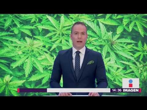 Están a punto de legalizar la mariguana recreativa en México | Noticias con Yuriria