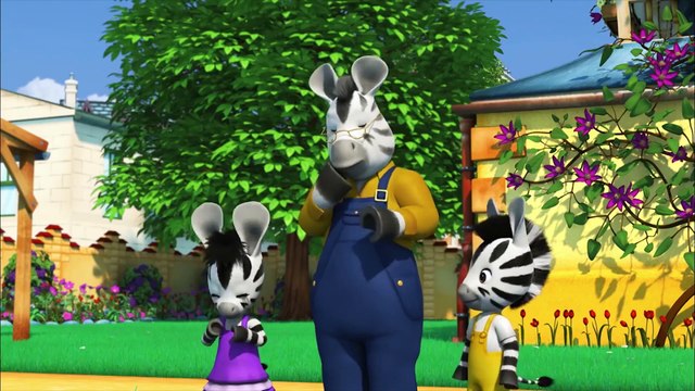 Zou | Zou et le Docteur | Compilation d'Épss Cmplets | Zou en Français | prt 2/2