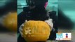 Buzos tallan calabaza de Halloween bajo el agua, rodeados de tiburones | Noticias con Zea