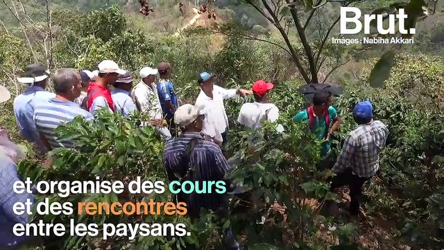 Le comédien Baptiste Lorber intervient en Colombie pour lutter contre la déforestation