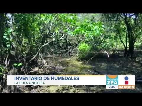 Cuántos humedales tiene México, por fin tenemos la respuesta | En buenas noticias