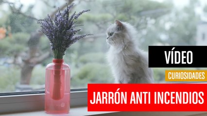 [CH] El jarrón para apagar incendios de Samsung