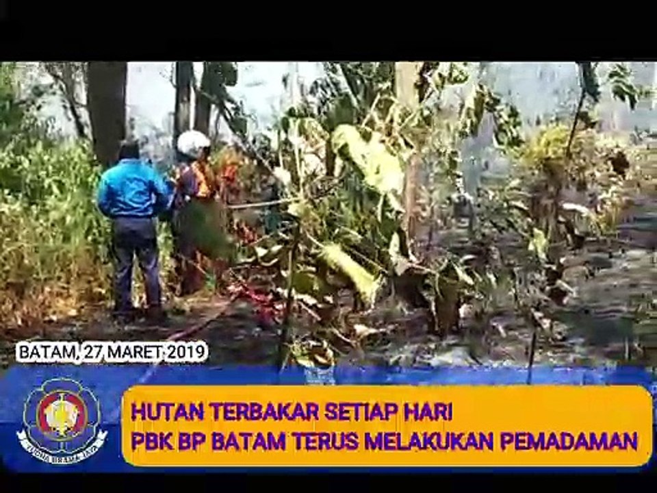 Kebakaran Hutan Di Batam Rabu 27 Maret 2019