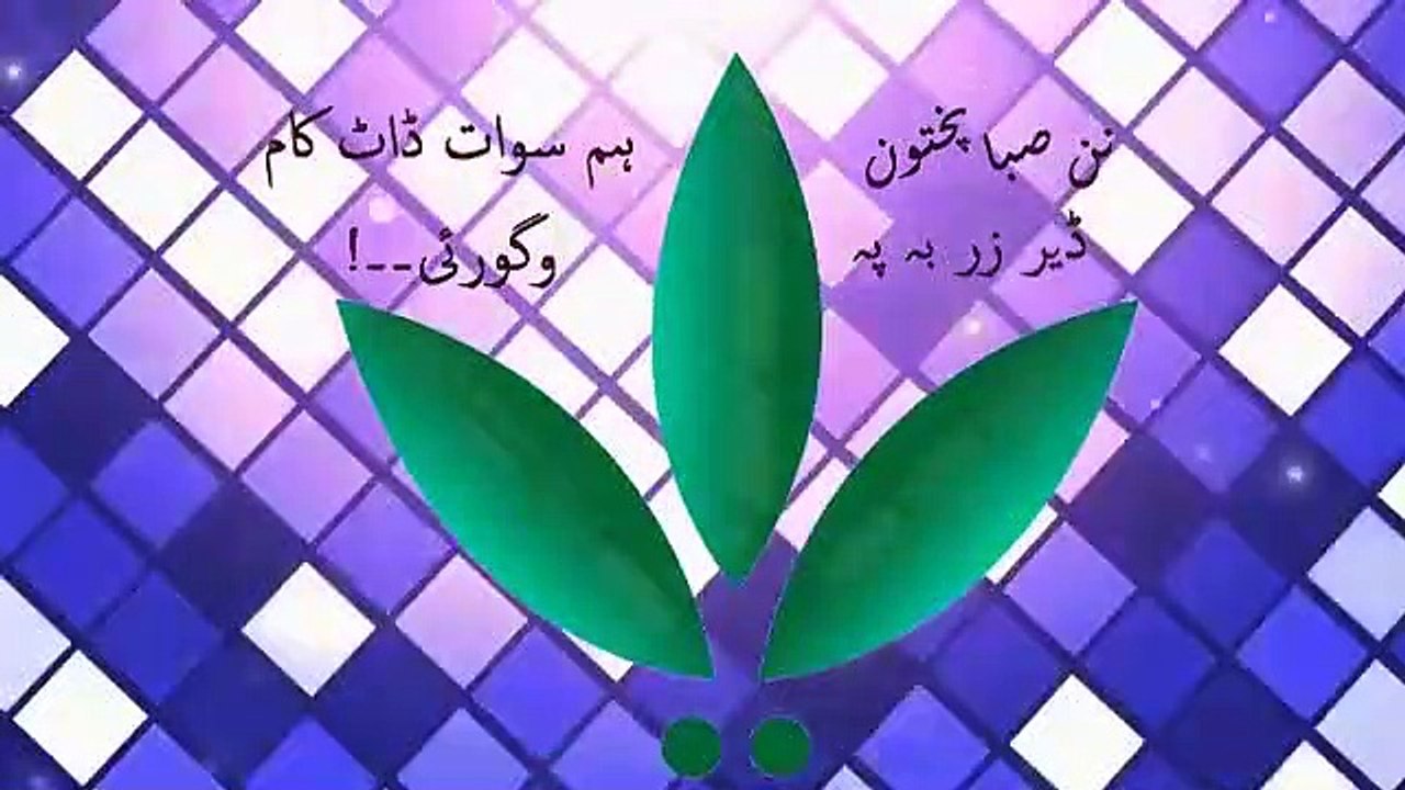 نن سبا پختون