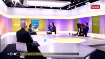 Quand Benalla fait buzzer le Sénat - Hashtag l'émission (24/01/2019)