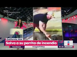 Este hombre rescató a su perrita de un incendio que consumía el interior de su casa.
