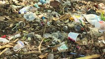 Avanza prohibición de plásticos de un solo uso en UE