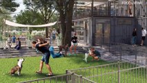 This New Orlando Bar Is Also a Dog Park, and We Want to Live There