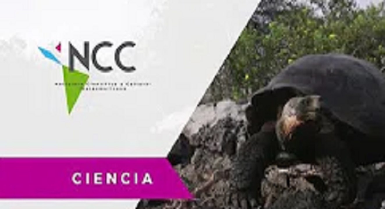 Criadero de tortugas gigantes en Galápagos