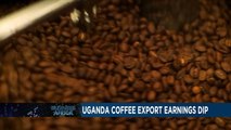 Uganda coffee exports earnings dip in January