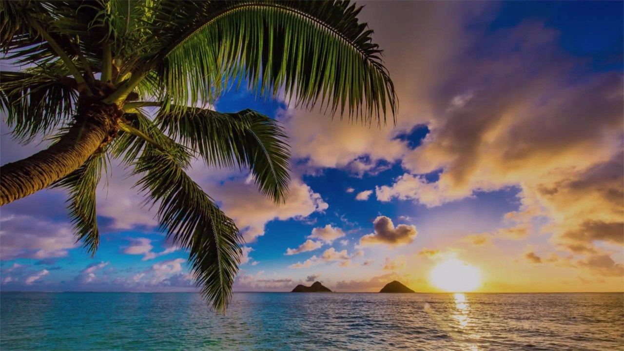 The FAA Has Given Southwest the Go-ahead on Hawaii Flights – and Cheap Fares and Nonstop Service Are on the Way