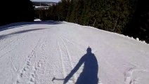 Ski Run Interrupted by Moose