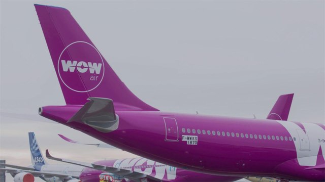 You Can Win Free Airfare From WOW Air by Posting About the Inspirational Women in Your Life