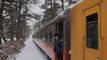 This $11 Train Ride Takes You Through Japan's Most Scenic Winter Landscapes While You Sip Sake
