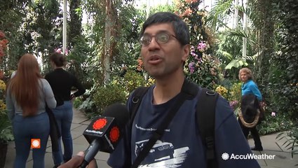 New York Botanical Garden Orchid Show gives taste of spring