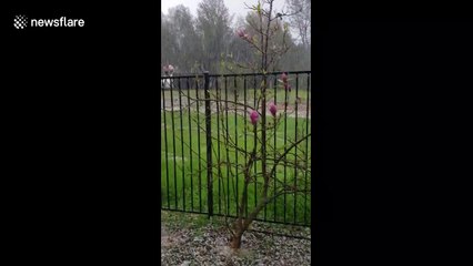 Extreme hailstorm hits Northern California