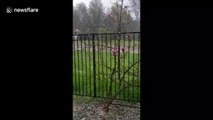 Extreme hailstorm hits Northern California