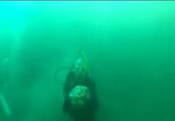 4 siglos bajo el mar