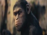 ¿Un chimpancé nominado al Oscar?