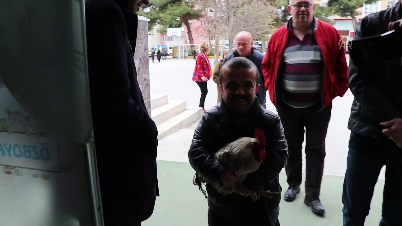 Burdur'da bir metre 30 santimlik seçmen, horozu...