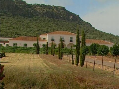 Una pareja de Homosexuales demanda a bodega por no poder celebrar boda