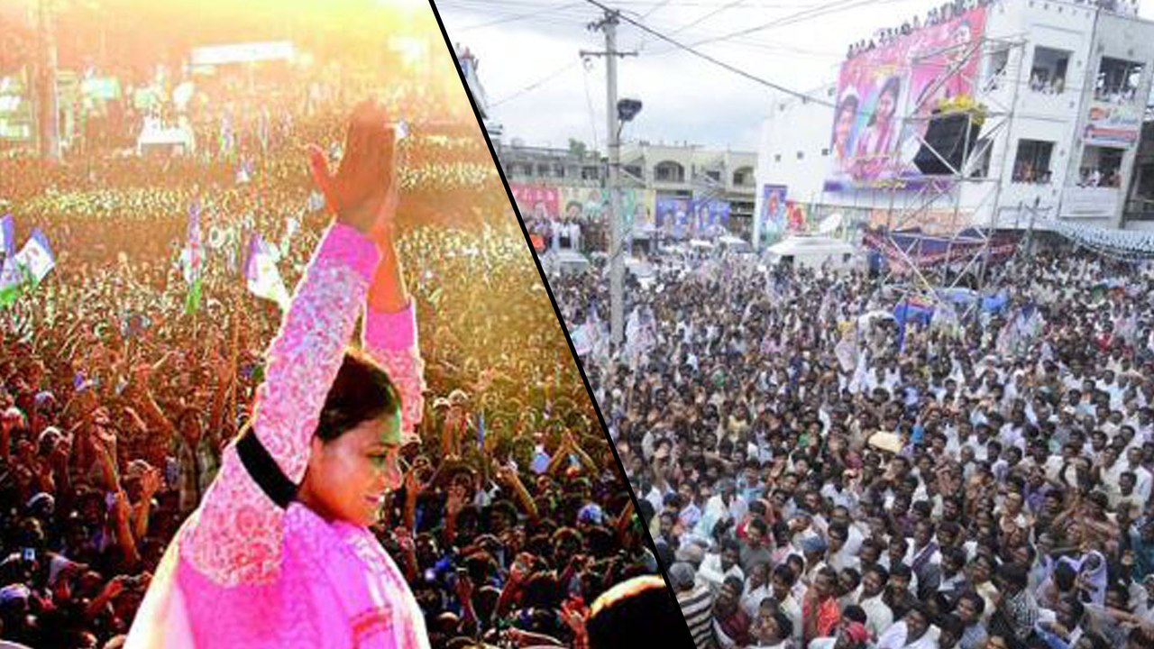 AP Assembly Election 2019 : వైఎస్ షర్మిల ప్రచార షెడ్యూల్ ఇదే ! | Oneindia Telugu