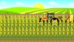 Fairy Tractors stories | Farm Work - Harvest of colza | Traktory, praca na Farmie . Historyjka